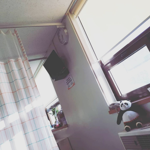 Figure 1 매일 아침 햇살이 참 좋았다