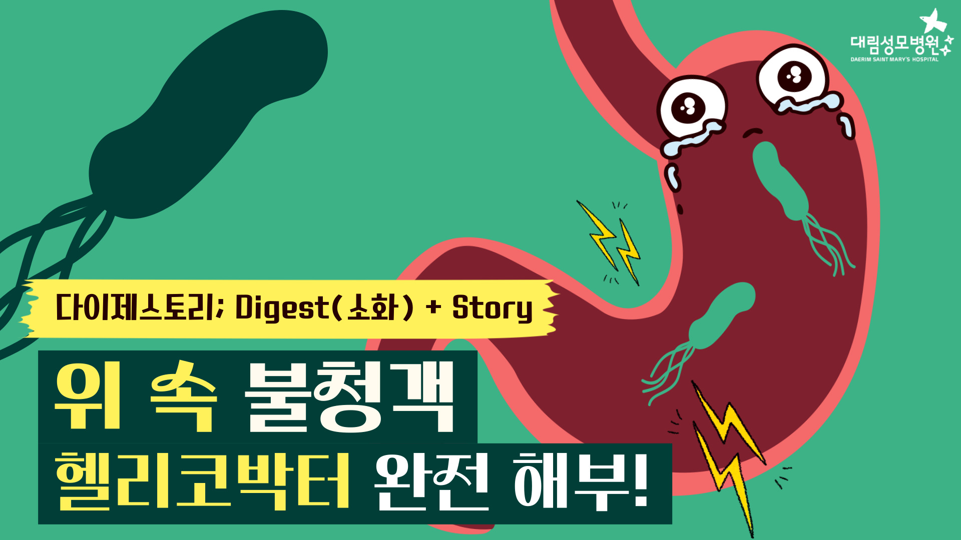 [소화기내과] 헬리코박터균  