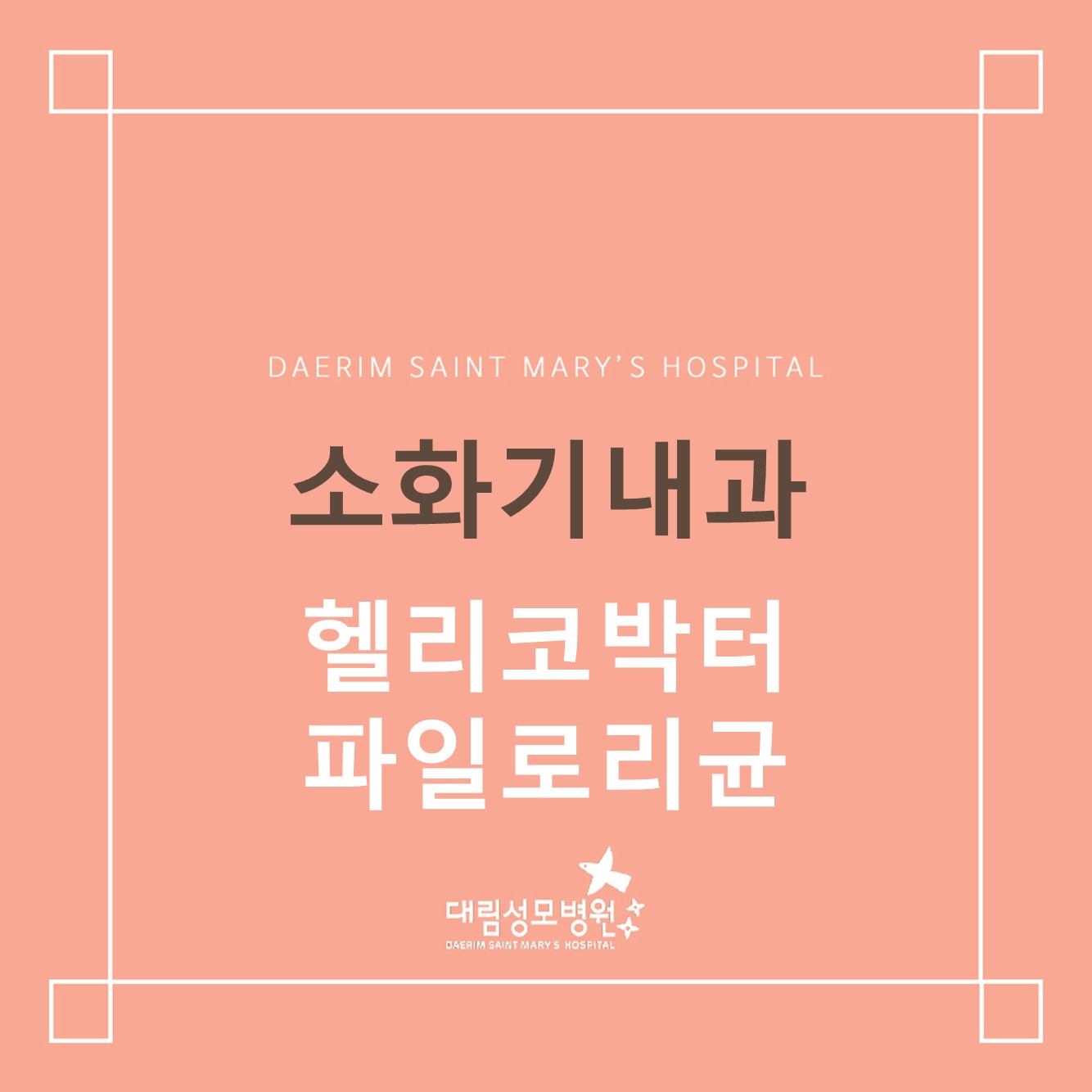 [소화기내과] 헬리코박터 파일로리균  