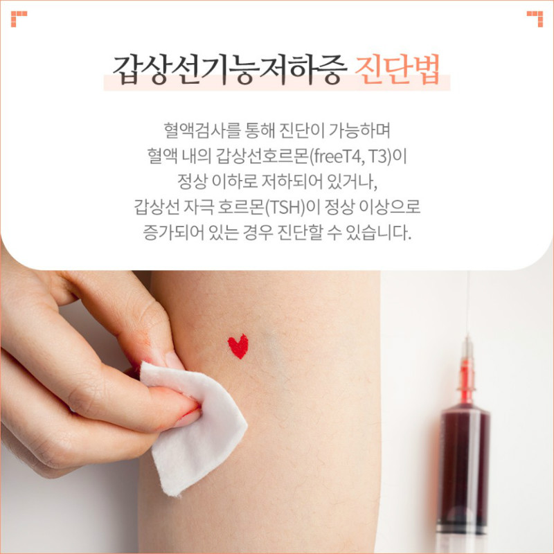 [갑상선센터] 갑상선기능저하증 5.jpg