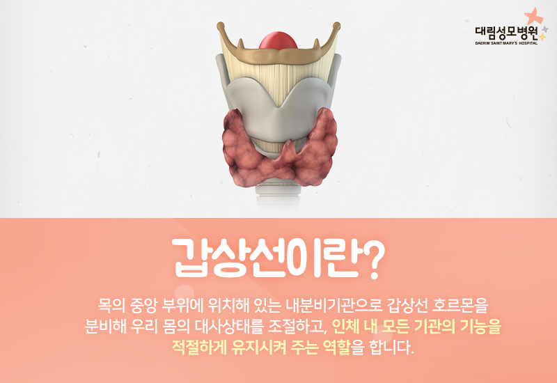 [갑상선센터] 갑상선질환 1.jpg