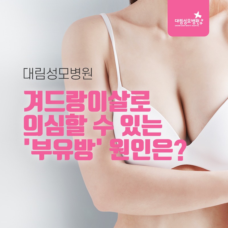 230428_부유방_01.jpg