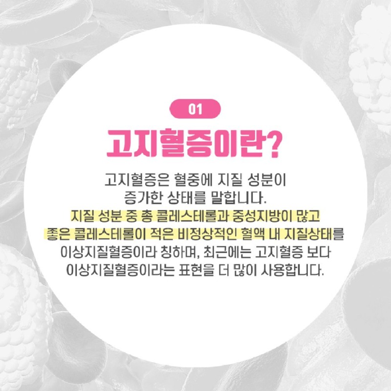 230502_고지혈증_02_수정.jpg