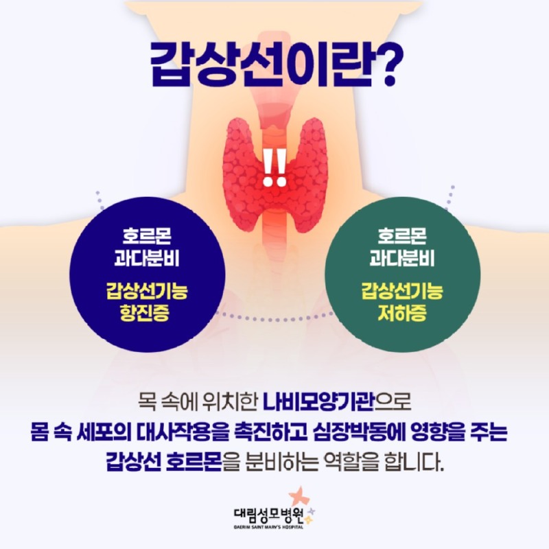 02_갑상선이란.jpg