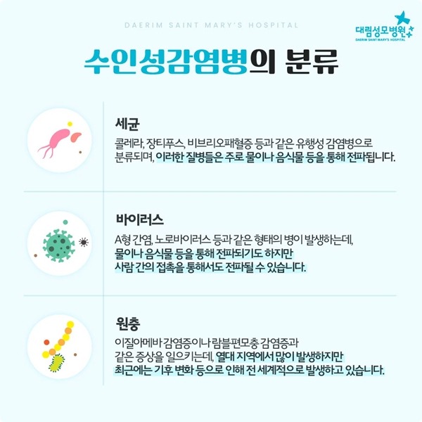 240725_대림성모병원_바이럴_수인성감염병_(3).jpg